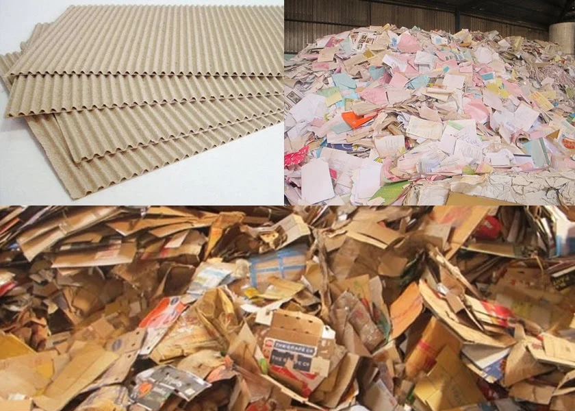Carton, giấy trắng văn phòng, báo và giấy vụn được phân loại riêng trước khi cân